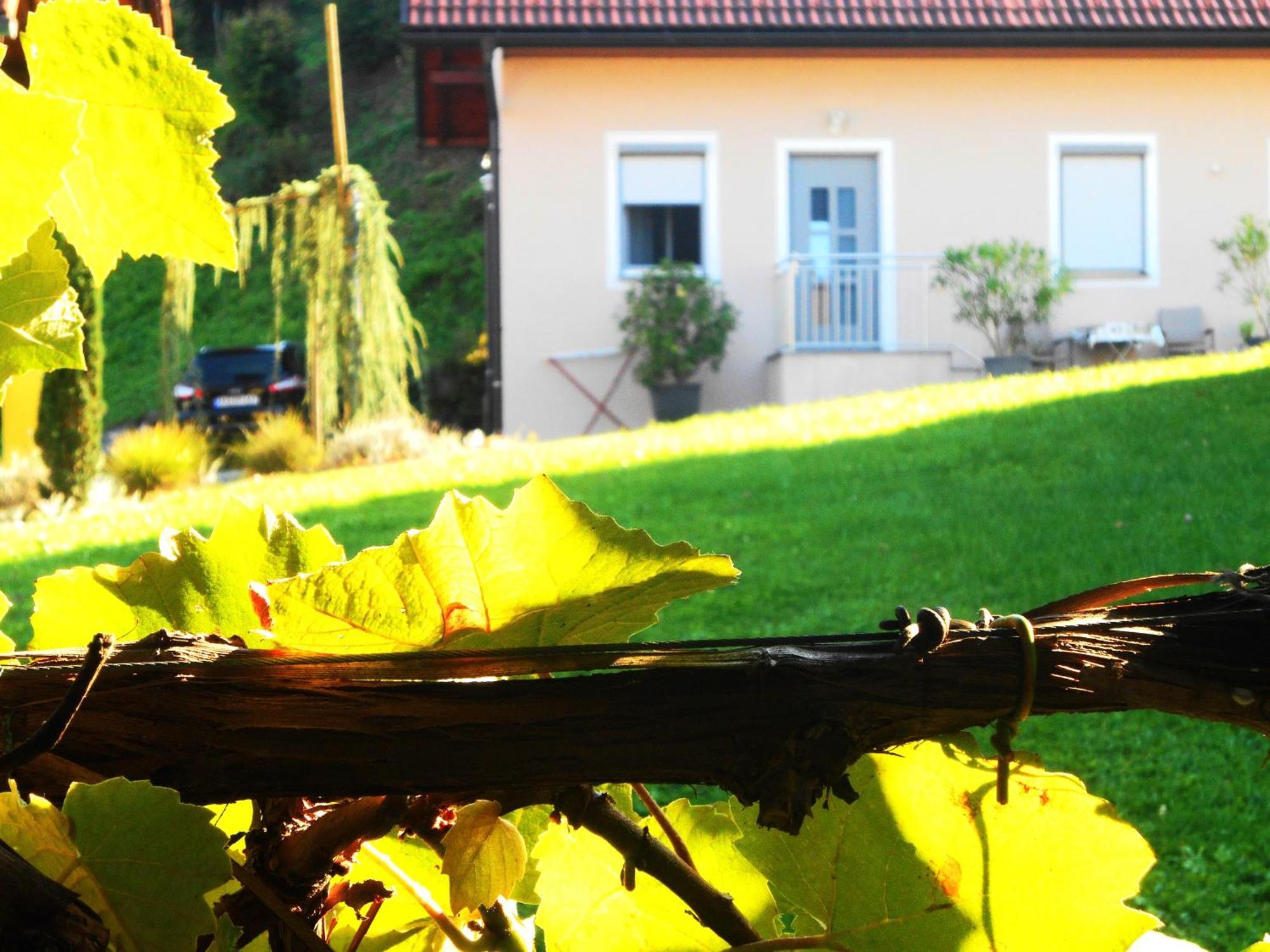 Ferienwohnungen Karin Am Seggauberg Leibnitz Bagian luar foto