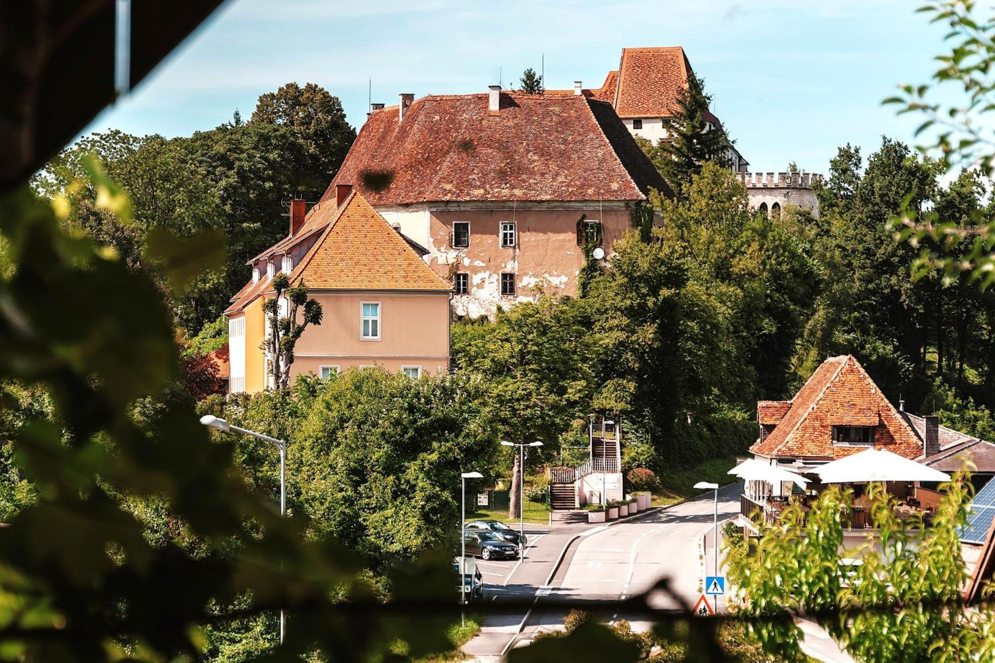 Ferienwohnungen Karin Am Seggauberg Leibnitz Bagian luar foto