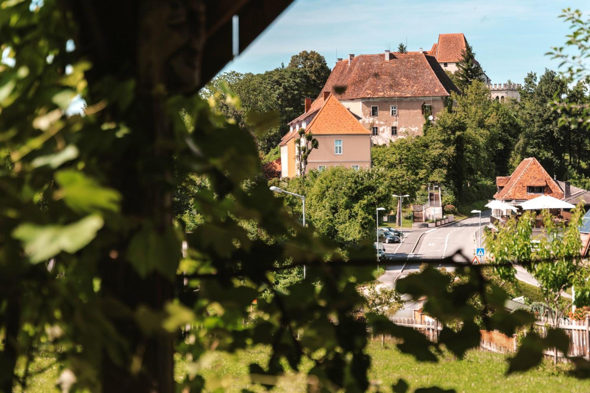Ferienwohnungen Karin Am Seggauberg Leibnitz Bagian luar foto